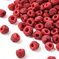 Polvo de Frambuesa Liofilizado FD a Granel, Cubos de Frambuesa Reconstituidos, Snack de Fruta