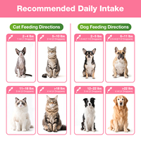 Nutrition liquide pour animaux de compagnie en marque privée 60 ml OEM/ODM Multivitamines et minéraux 21-en-1 pour chiens et chats Absorption rapide Soutien immunitaire HACCP GMP