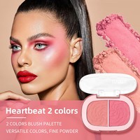 Palette de blush double couleur USHAS, poudre pressée légère et aérienne, multi-usages pour les yeux et les joues, blush naturel, longue tenue, maquillage