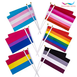 Cầu Vồng Gay Niềm Tự hào Polyester Vườn Tùy Chỉnh Mini Lgbt Tay Cờ Cầu Vồng Tình Yêu Xe Bìa Cờ Bán Buôn Cầu Vồng Niềm Tự hào Cờ - Product Image 2