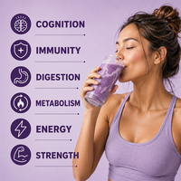 Poudre de shake protéiné végétal à marque privée, saveur ube et noix de coco, favorisant la digestion