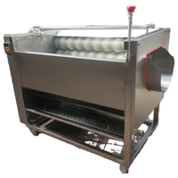 Groente- en fruitreinigings-, droog- en verwerkingsmachines, droge dadels wasmachine te koop