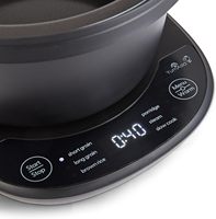 Cuisinière à riz et soupière électrique portable intelligente 1,0 L avec fonction vapeur et tasse doseuse incluse – Idéale pour hôtels et usage domestique
