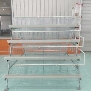 Vendita calda di strato di pollo gabbia per strati di pollame allevamento di un tipo 4 livelli 4 porte gabbie di batteria galline ovaiole vendono in Bangladesh - Product Image 3