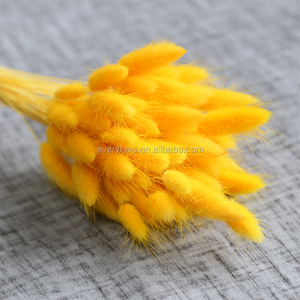 60 pièces/lot, queues de lapin <span class=keywords><strong>séchées</strong></span> colorées, Lagurus Ovatus, fournitures de décoration de mariage, <span class=keywords><strong>bouquet</strong></span> de <span class=keywords><strong>fleurs</strong></span>, <span class=keywords><strong>fleurs</strong></span> <span class=keywords><strong>séchées</strong></span> en gros - Product Image 3