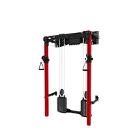 Appareil d'entraînement fonctionnel mural pliable avec blocs de poids intégrés, rack à squats pliable et système de poulies à double câble croisé