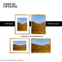 Lot de 3 cadres photo en PVC 11x14, fixation murale, pour combinaison murale de photos, direct usine