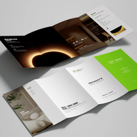 Cetak Leaflet Lipat Berwarna Penuh dengan Logo Kustom, Cetak Brosur Kecil, Brosur Real Estat dengan Spot UV