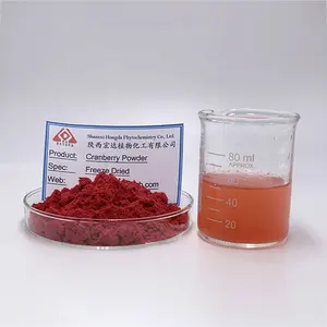 Factory Supply High Quality Food Grade 99% Cranberry Powder Cranberry Juice Powder