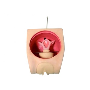 Modelo de simulador de anticoncepción femenina avanzado DARHMMY para Educación de Planificación Familiar de Ciencias Médicas - Product Image 1