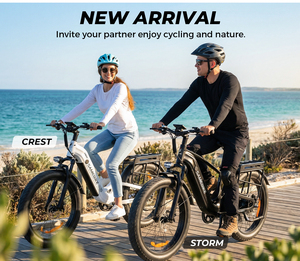 Vélo électrique tout-terrain SAMEBIKE 4.0 à pneus larges, en acier haute teneur en carbone, livraison gratuite CA RTS - Product Image 3
