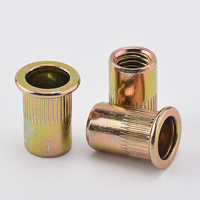 Zinc hexagonal fraisé personnalisé en usine M6 X 16 Mm extrémité fermée hexagonale Ss304 demi-écrou de rivet de fixation interne externe