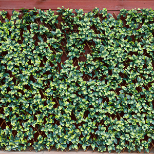 Có thể mở rộng trellis nhân tạo vườn PE lá sàng lọc liễu trellis với lá nhân tạo vườn hàng rào - Product Image 2