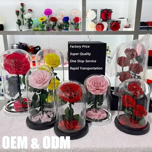 Vendita all'Ingrosso: Rosa Eterna a Forma di Cuore del Piccolo Principe con Cupola di Vetro, Regalo Perfetto <span class=keywords><strong>per</strong></span> <span class=keywords><strong>Lei</strong></span>, <span class=keywords><strong>San</strong></span> <span class=keywords><strong>Valentino</strong></span>, Natale, Festa della Mamma - Product Image 3