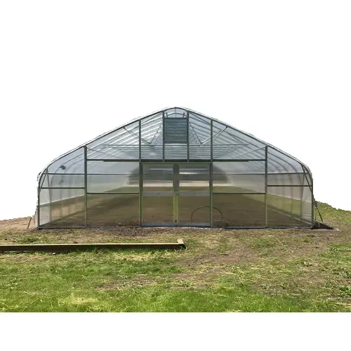 Commerciële Kas Plastic Film Landbouw Single-Span Tunnel Kassen Voor Tomaat Aardbei Groente Fruitteelt