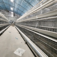 Cage d'élevage de type A pour poulets, directement de l'usine, système de pouponnière portable facile à assembler pour petites exploitations