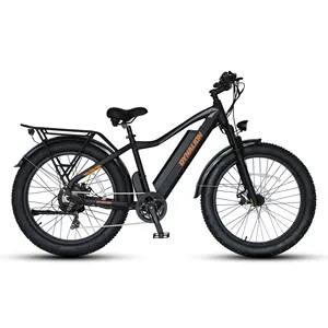 Klaar Voor Verzending 26 4 0 Fat Tire Elektrische Mountainbike Max Promax Motor Muur Frame Power Batterij Koppel Tijd fun Opladen Hub