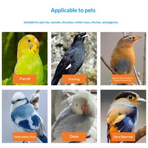 <span class=keywords><strong>Spray</strong></span> Desodorante para Aves de Uso Externo, Repele Pulgas y Garrapatas, 100 ml, Ambientador para Aves, Venta al Por Mayor OEM - Product Image 3