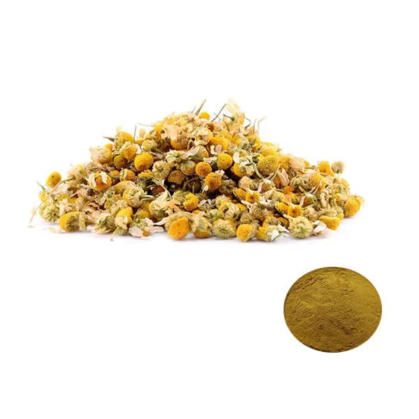 Hot Sales Chamomile Extract 98% Apigenin Natural Anthemis Tinctoria Powder