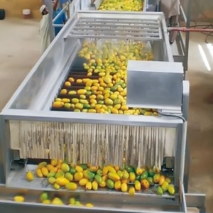 Línea de producción de jugo de <span class=keywords><strong>Granada</strong></span> y maracuyá Industrial, nuevo componente de Motor central, separador de semillas, línea de procesamiento de exprimidor - Product Image 5