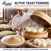 Levain sec actif professionnel pour boulangerie, favorise une levée uniforme de la pâte pour des produits de pâtes fermentées moelleuses