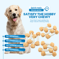 Friandises pour chiens sans conservateurs ni gluten, moelleuses et croquantes, de qualité alimentaire humaine, pour le soin dentaire et le soutien digestif, pour chiens de petite et moyenne taille