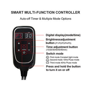 Alfombrilla de Terapia de Luz Roja para Uso Doméstico, Tamaños S, M, L, Infrarrojo Lejano de 660 nm, 850 nm, LED, Infrarrojo Cercano, Productos de Masaje, Alfombrilla de Yoga - Product Image 4