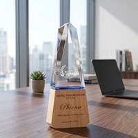 Trophées en bois et en cristal personnalisés en gros, plaques de récompense gravées au laser 3D pour événements d'entreprise et souvenirs