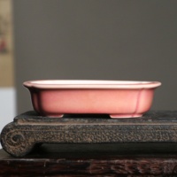 Pot à Bonsaï Artisanal en Céramique de Yixing, Best-seller