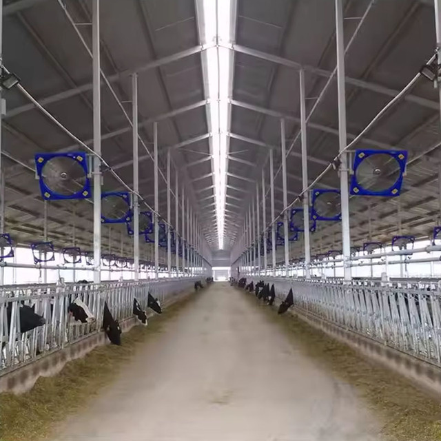Low Cost Prefab Steel Structure Dairy Cow Shed Sheep Barn Farm Prefabricated Steel Structure Farm