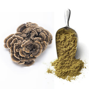 זנב הודו אורגני זנב פטריות אבקת פטריות תוסף טבעי לחיות מחמד עם Psk psk זמין קפסולה צורות נוזל אריזה בקבוק - Product Image 4