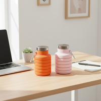 Bouteille d'eau pliable en silicone réutilisable, anti-fuite, avec logo personnalisé, 500 ml, qualité alimentaire, mousqueton inclus, pour la gym, le camping et la randonnée