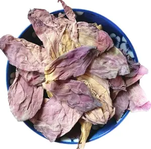 מאכל מיובשים קדוש לוטוס עלה כותרת תה טבעי Nelumbo nucifera פרח עלי כותרת