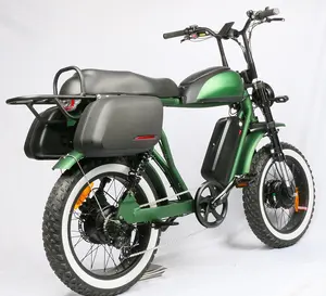 2022 전기 오토바이 스타일 빈티지 ebike 48v 500w 750w 1000w 전체 서스펜션 레트로 전기 자전거
