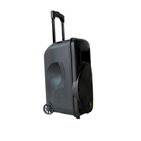 Lecteur karaoké à la mode, haut-parleur Bluetooth sans fil, avec Microphone, grande basse, DJ Portable, nouvelle collection