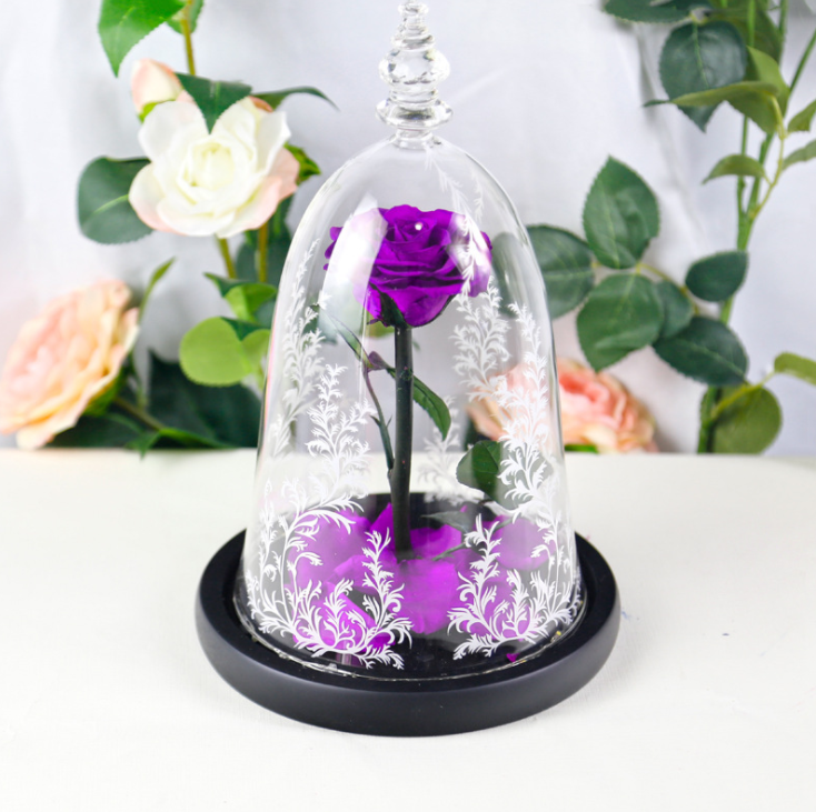 Pourpre