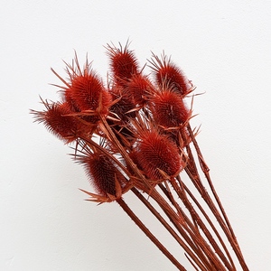 Yunnan Usine Pas Cher Fleur Séchée Fleurs Artificielles <span class=keywords><strong>Chardon</strong></span> pour Mariage - Product Image 4