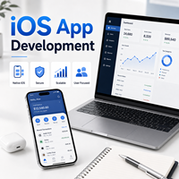 Servicio de Desarrollo de Software y Aplicaciones para iPhone, Aplicaciones Nativas para Empresas y Consumidores, Versión Internet, Origen China