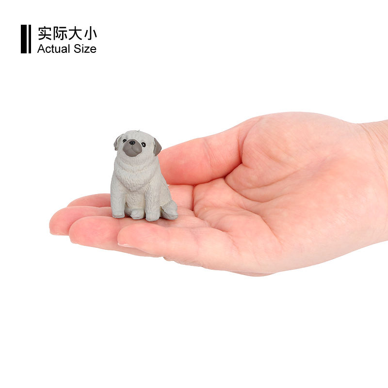 3833 Acting Cute Pug Dog