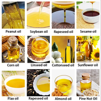 Sanying – presseur d'huile de graines de tournesol, huile d'olive de soja, noix, noisette, Machine de pressage