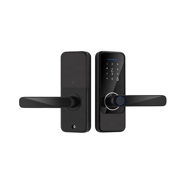 Cerraduras Inteligentes Fingerprint Lock S810 Wifi Keys Simple Door Lock Tuya Fingerprint TTlock Locks for Home
