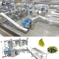 Machine multifonctionnelle LWT pour le traitement des légumes et des fruits, friteuse, pasteurisateur, équipement automatique à haute efficacité pour les algues Wakame
