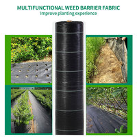 Produit plastique agricole écologique, tissu de contrôle des mauvaises herbes pour jardin, tapis de protection UV, couverture de coupe, paillis en plastique PP