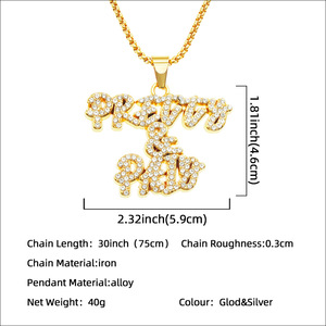 Collar con colgante de letra 'Pretty and Paid' chapado en oro con incrustaciones de diamantes de imitación, joyería de aleación estilo Hip Hop para hombre y mujer, al por mayor - Product Image 2