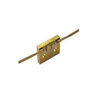 Diode laser 808 nm 3 W à monture BCT avec collimation FAC, diode laser IR haute puissance pour applications industrielles/médicales