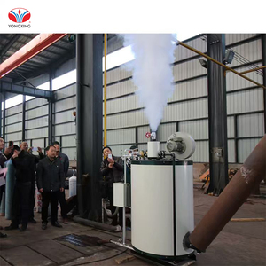 Yongxing Industrial Vertical Biomass <strong>Steam</strong> <strong>Generator</strong> Natural Circulation 0.7Mpa Max Pressure Carbon Steel Construction Energy - Product Image 4