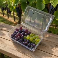 Conteneur à raisins prêts à l'emploi, capacité 1 lb, écologique, en RPET/PET recyclé, jetable, type coquille