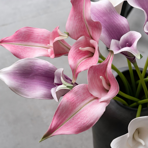 Flor Artificial Decorativa Inspirada en Eva Calla Lily de Rainbow Sketch Artist para el Hogar, Venta al por Mayor Transfronteriza para el Día de San Valentín - Product Image 3