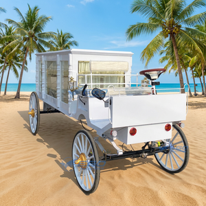 2026 Carrosse funéraire électrique blanc moderne / Voiture funéraire électrique / Buggy funéraire électrique - Product Image 1