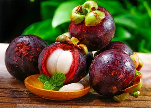 Mangosteen özü özel marka Mangosteen özü tozu 40% Mangosteen özü